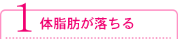 体脂肪が落ちる