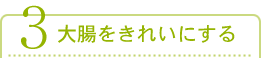 大腸をきれいにする