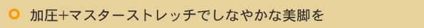 マスターストレッチで目指す美しいボディ